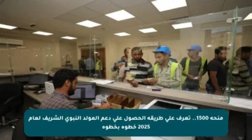 منحة 1500.. تعرف على طريقة الحصول على دعم المولد النبوي الشريف لعام 2025 خطوة بخطوة